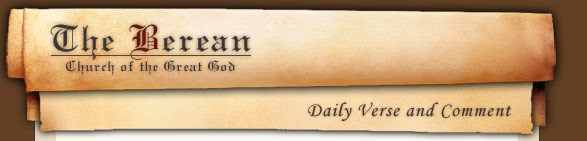 theberean-with-you-banner